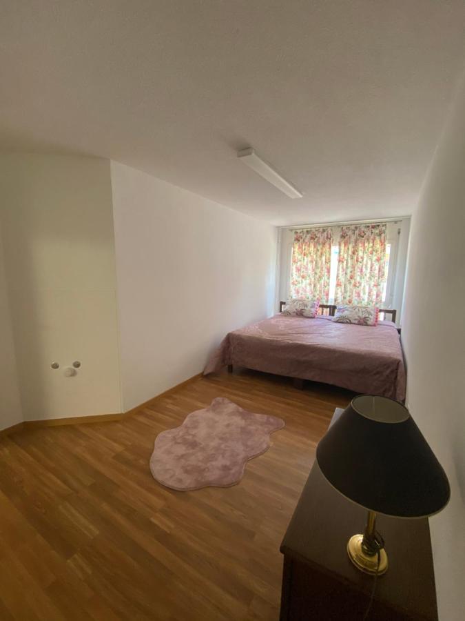 Get Cozy Family Flat Zuerich Apartment ภายนอก รูปภาพ