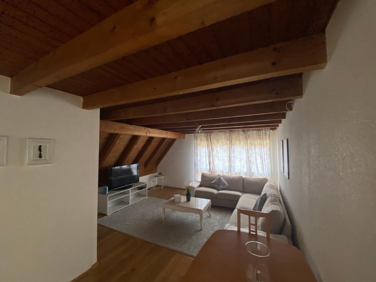 Get Cozy Family Flat Zuerich Apartment ภายนอก รูปภาพ